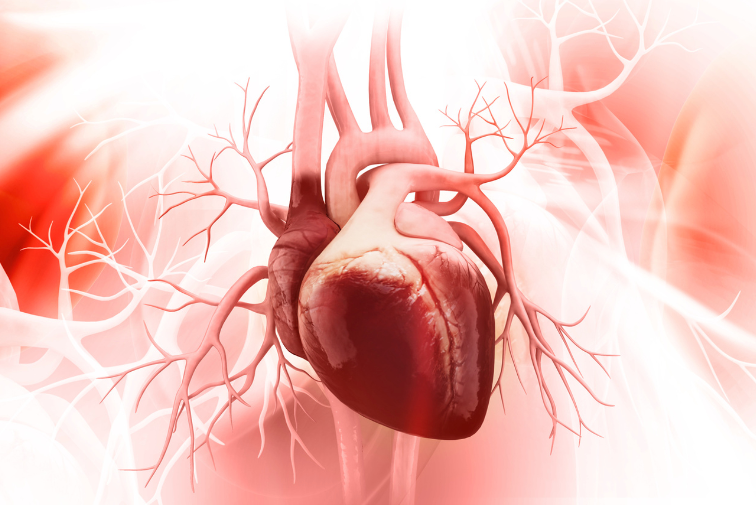 Study: Adult Cancer Survivors Have Higher Risk of Cardiovascular Disease Later in Life