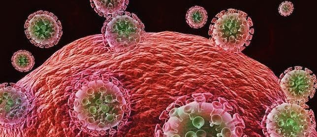 Broadly Neutralizing Antibodies Combination May Suppress HIV Without Antiretroviral Therapy