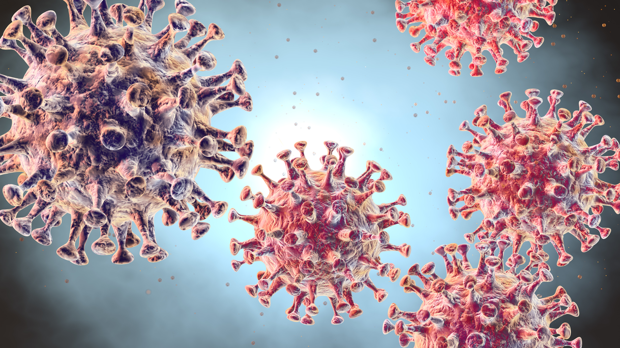 Two Studies Point to New Avenue for Antiviral Therapies Against COVID-19