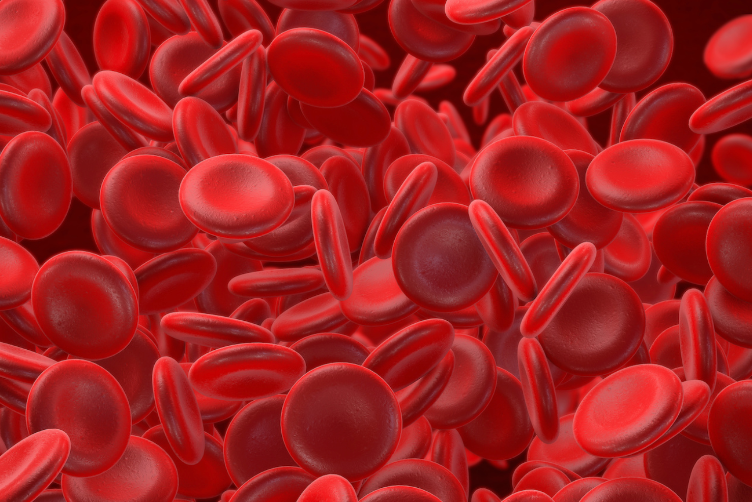 Improved Health Equity, Outcomes Reported With Omidubicel for Patients With Blood Cancers