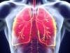 New Antibody Therapy Could Effectively Treat Small Cell Lung Cancer