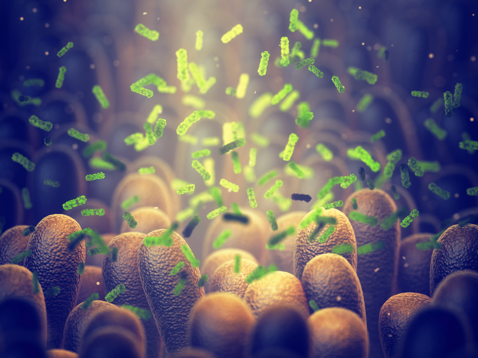 Updated C. Difficile Infection Guidelines Incorporate New Trials