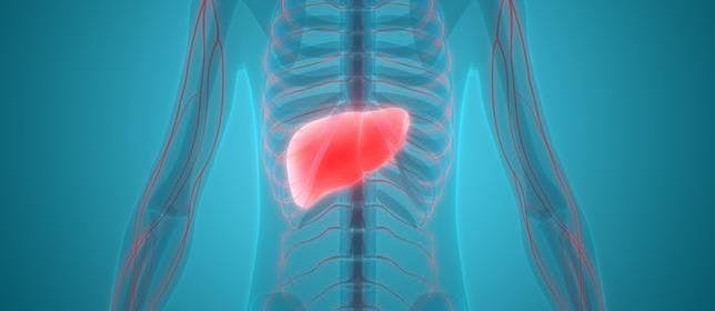 Study: Potential Targets Identified for Inhibiting Liver Disease Progression