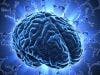 Brain Lymphatic Vessels May Serve as Potential Target for MS Treatment