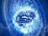 MS Study Finds White Matter Declines Before Grey Matter