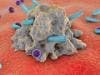 HIV Cure Could Cause Dangerous Adverse Events