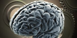 Parkinson's Patients Show Brain Response to Placebo