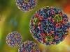 High-Risk Human Papillomavirus Type Comprises Thousands of Unique Genomes