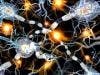 Multiple Sclerosis Drug Pulled Due to Brain Inflammation Risks