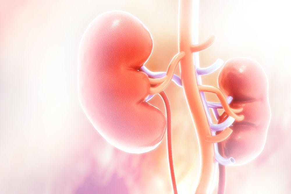 Health-Related Quality of Life Varies Between Men, Women With Advanced Kidney Disease
