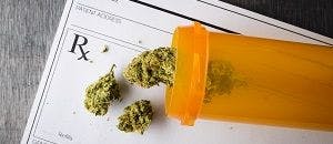 Landmark Report Weighs in On Marijuana's Health Effects