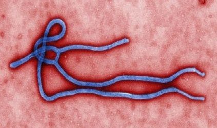 Ebola Virus Edits Genes After Infection