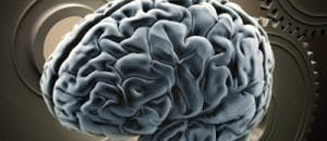 Promising Drug Compound Blocks Alzheimer's-Related Brain Damage in Mice