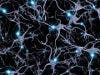 Certain Environmental Conditions May Trigger Demyelination, Onset of MS