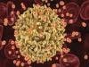 Defective Proviruses Hinder Search For HIV Cure