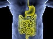 IBS Patients Can Benefit from New Pills that Sense Intestinal Gas