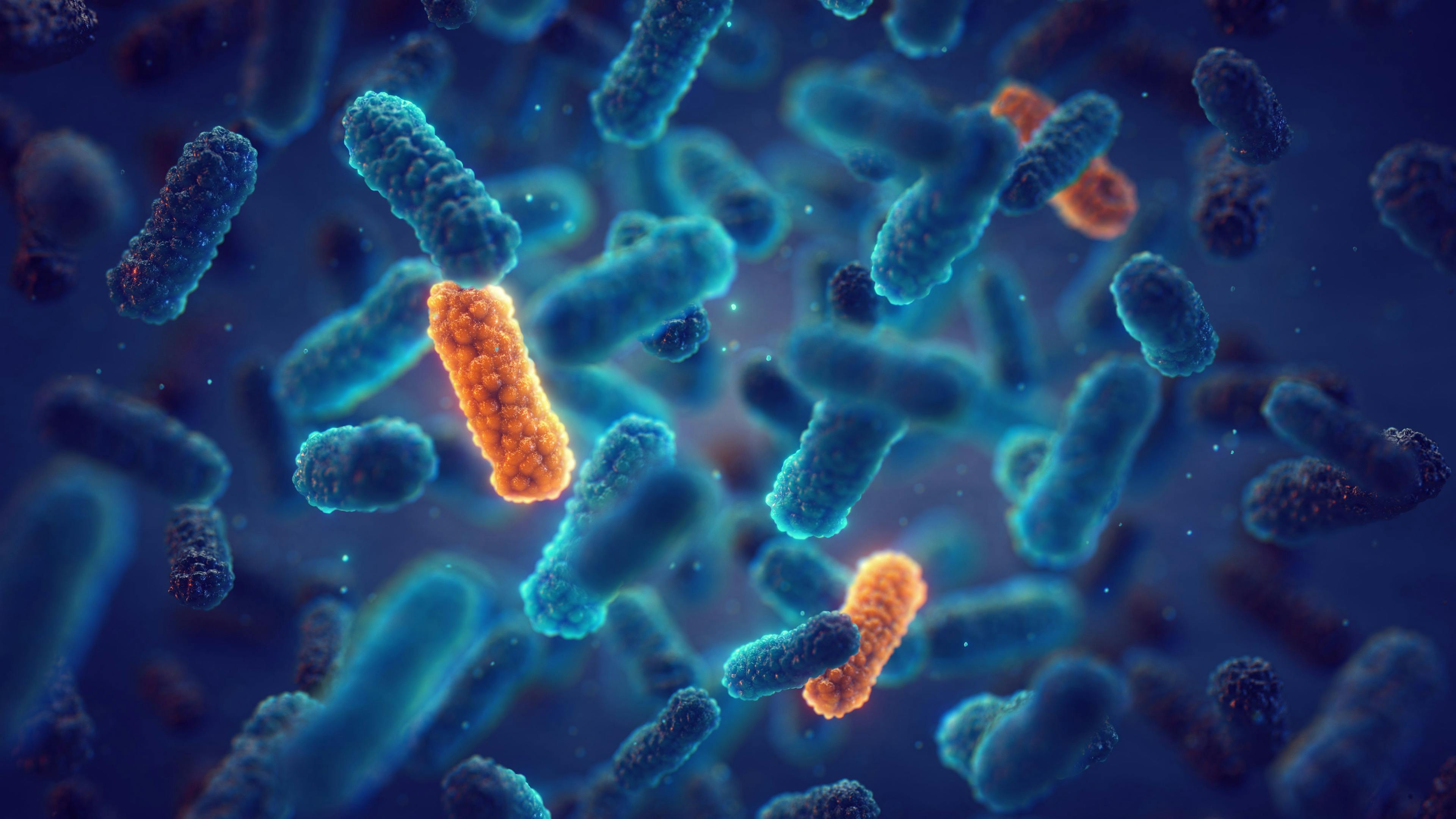 Antimicrobial Resistance (AMR) occurs when bacteria change over time and no longer respond to medicines. Genetic mutation in bacteria can lead to antibiotic resistance - Image credit: nobeastsofierce | stock.adobe.com