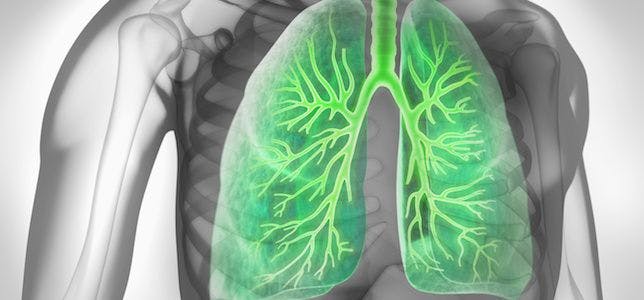 Individualized COPD Therapy May Reduce Exacerbations, Costs