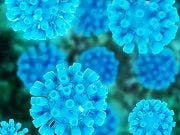Hepatitis C Rapid Diagnostic Test Could Improve Diagnosis Rates