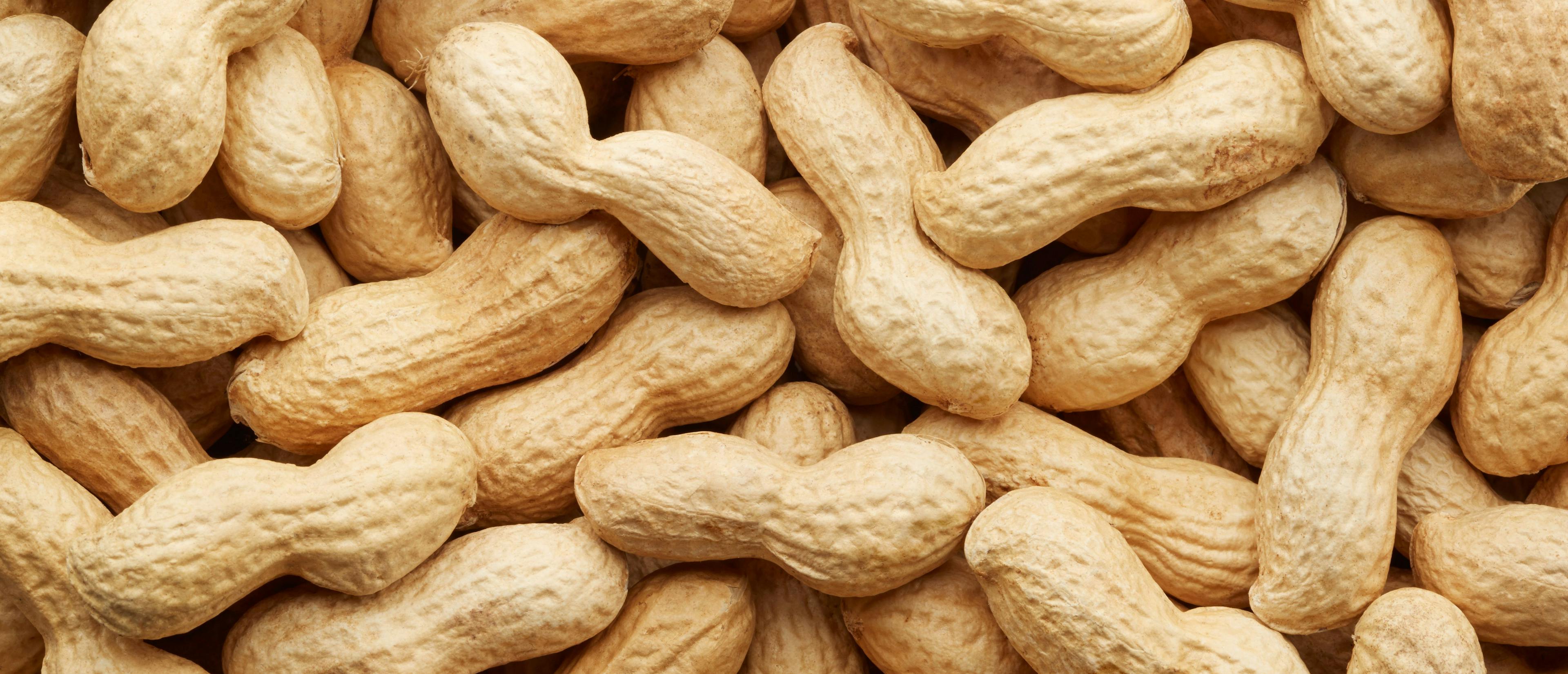 Peanut Consumption Could Prevent Childhood Obesity