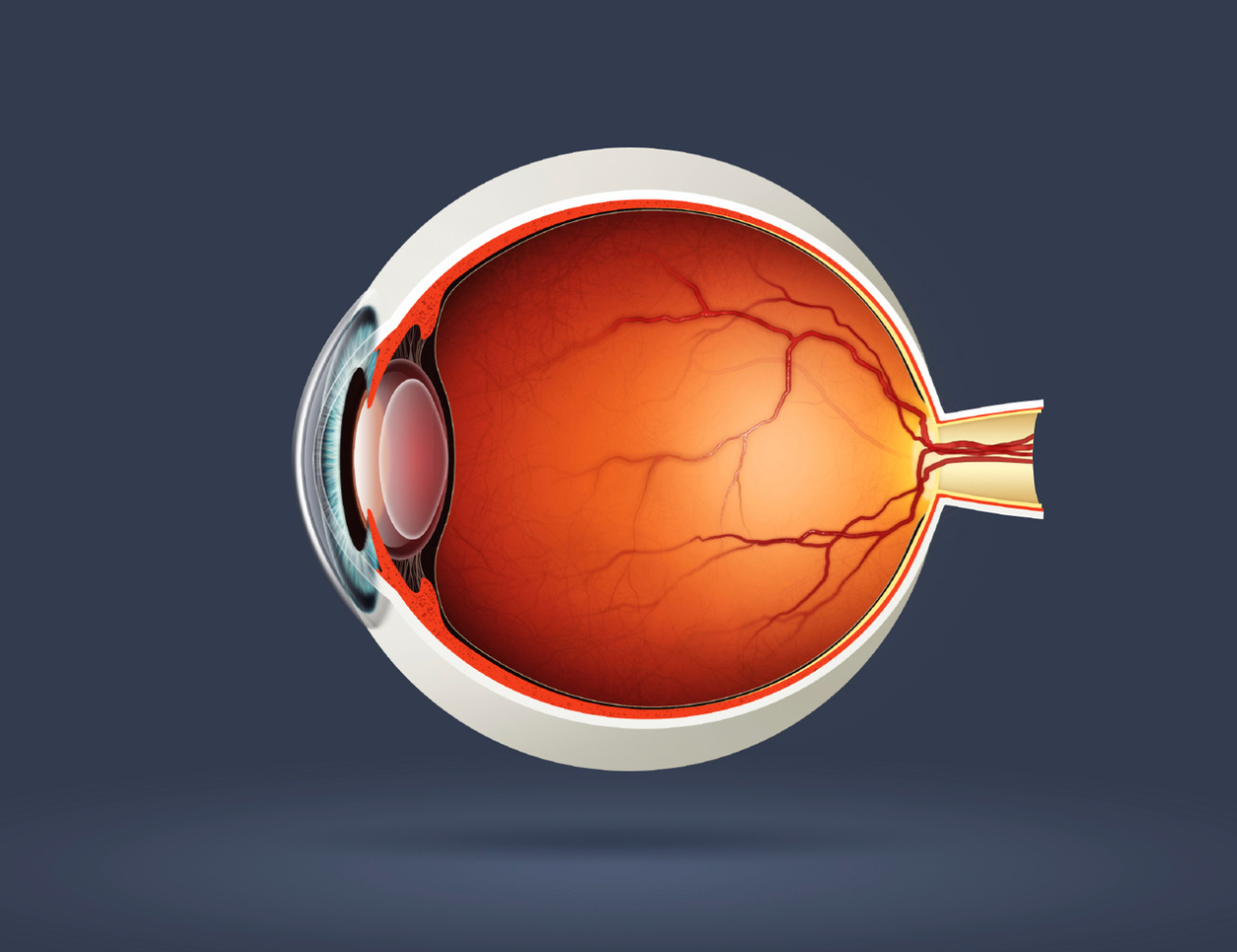 Sandoz Launches Generic Version of Treatment for Ocular Hypertension 