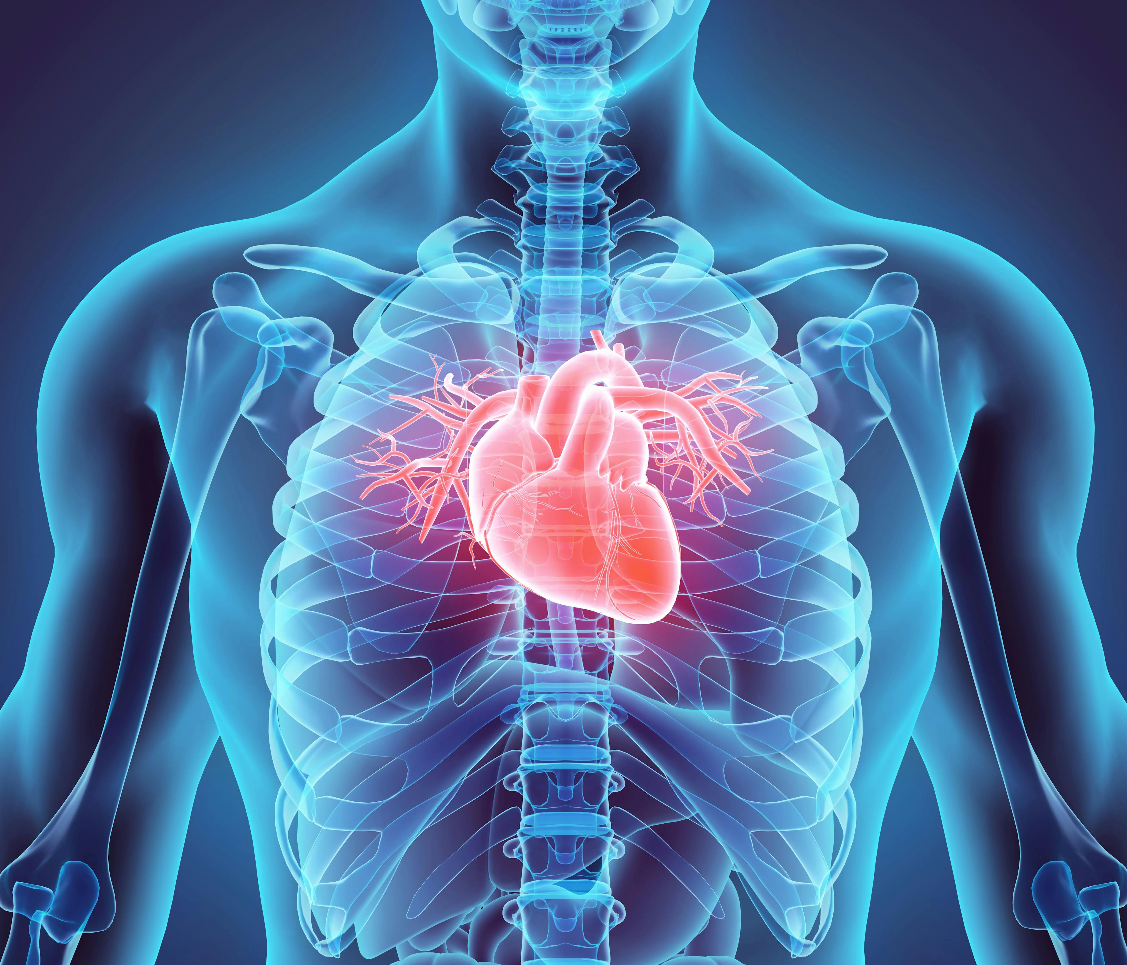 3D illustration of Heart, medical concept | Image Credit: yodiyim -stock.adobe.com