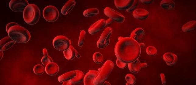 New Treatment Granted FDA Approval for Adults With Rare Blood Disease PNH
