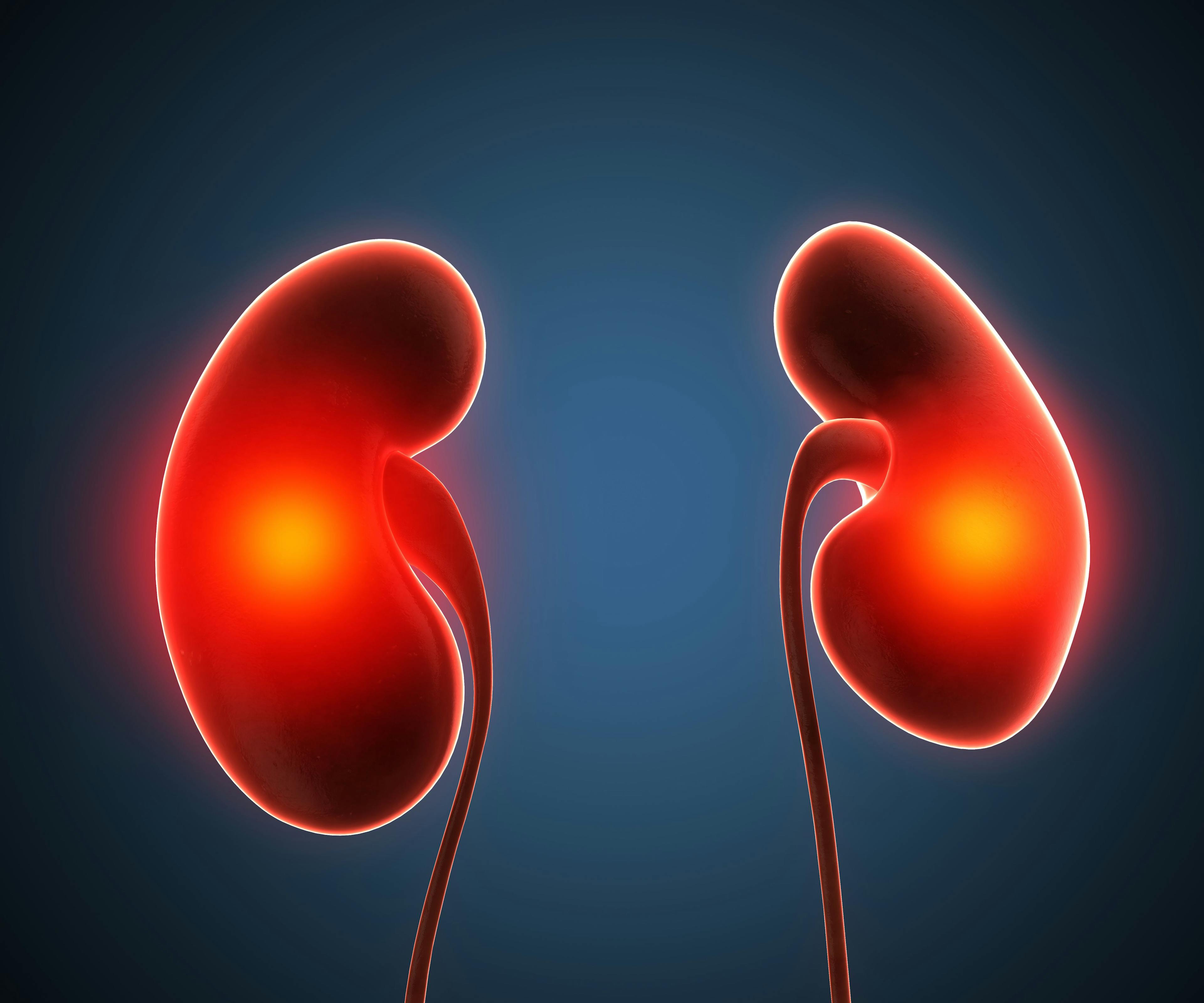 Overview of the Common Characteristics of Chronic Kidney Disease