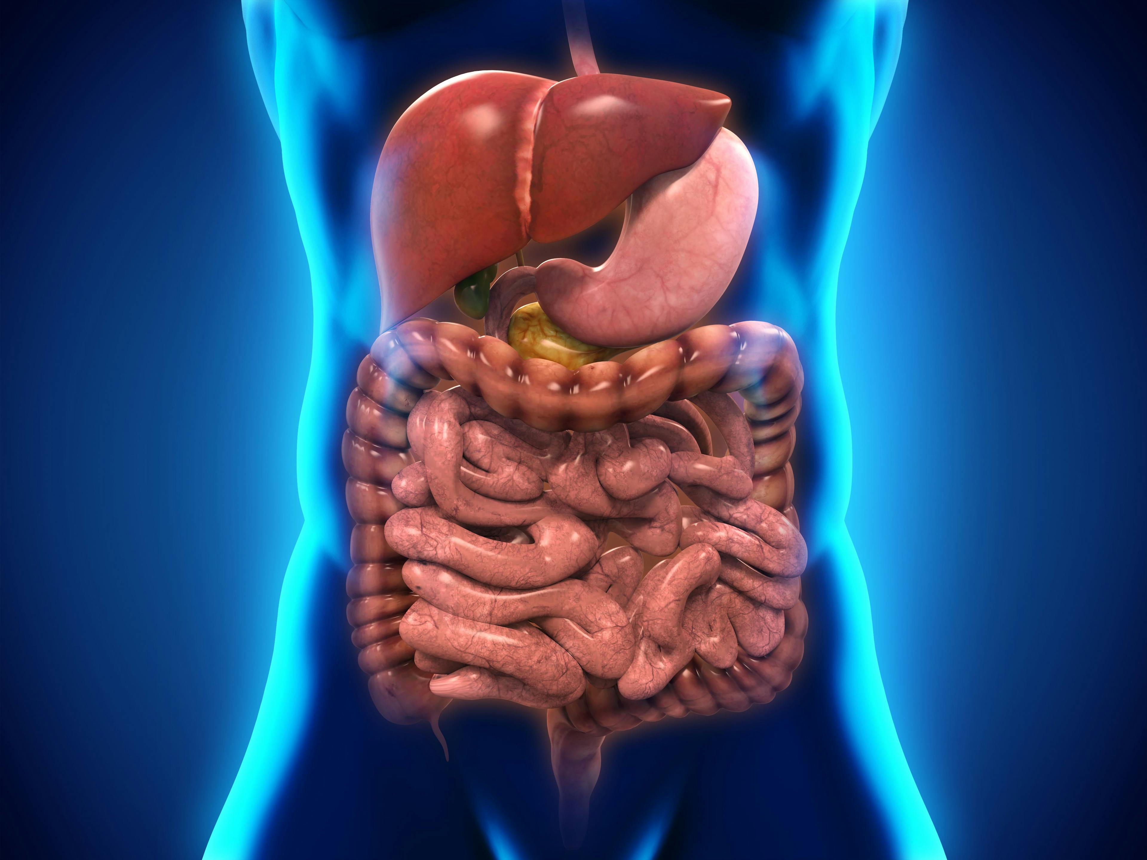 Study: Healthy Gut Microbiome Responsible for Mucus Layer in the Colon