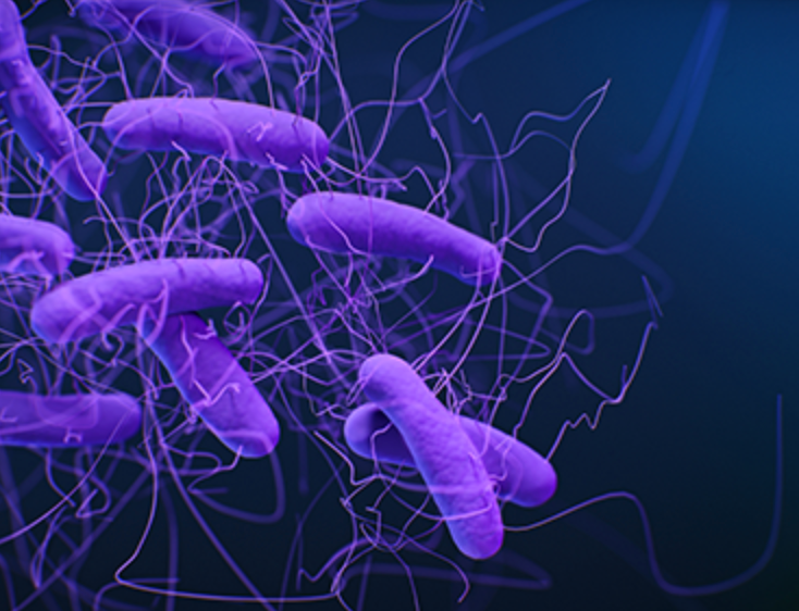 Live Microbiome Therapeutic Found Safe, Effective Treating Recurrent C Difficile Infection 