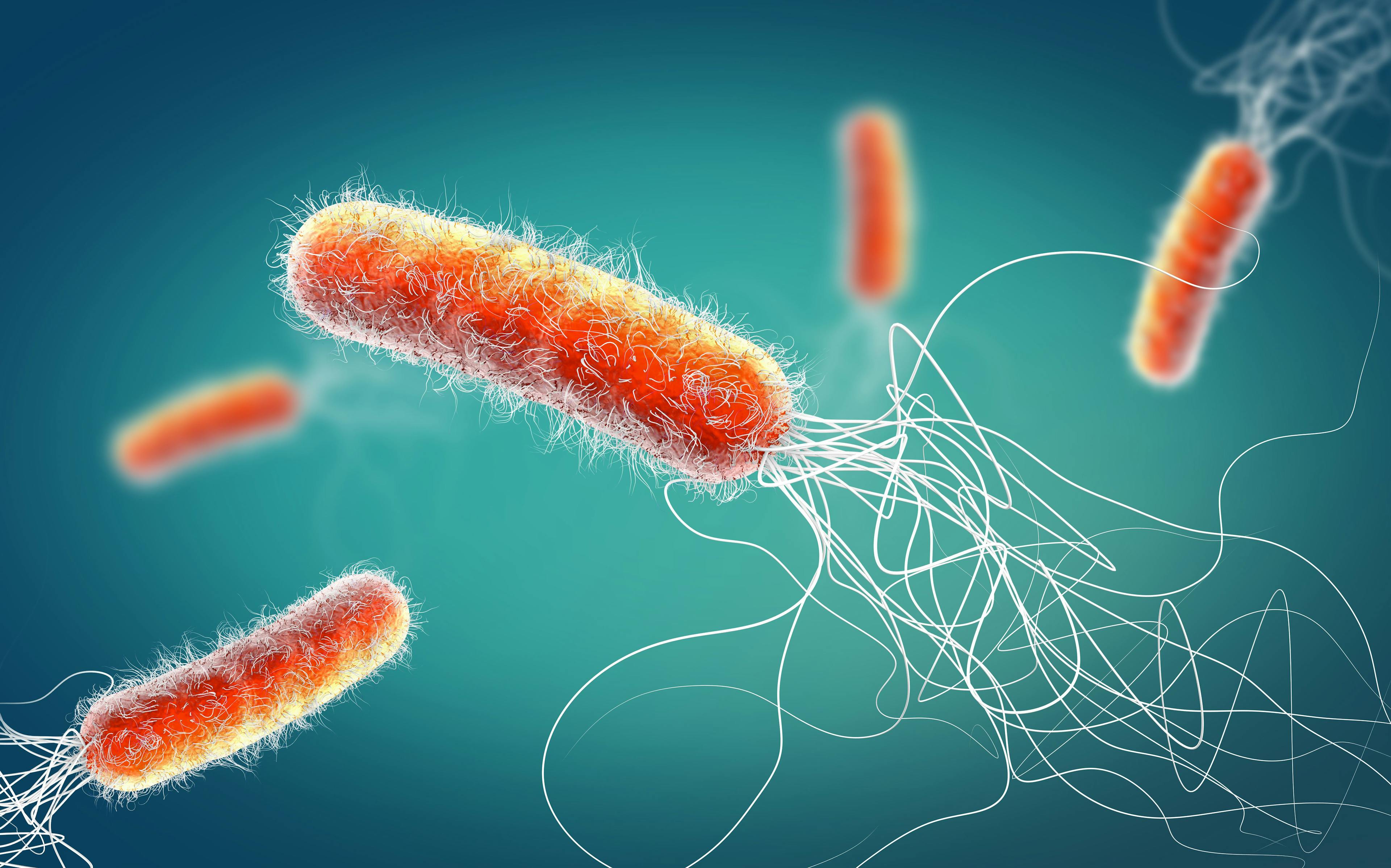 Clinical Development Program Shows Promise for Microbiome-Based Therapeutics in Recurrent C. Diff
