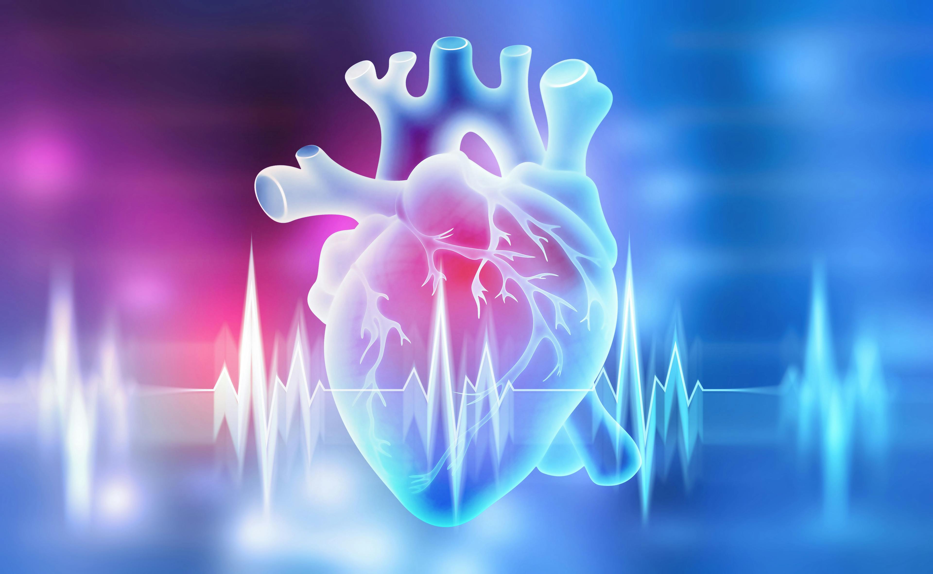 Human heart. 3D illustration on a medical background. Credit: Siarhei - stock.adobe.com