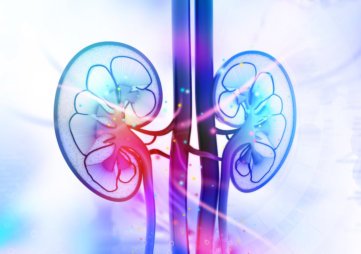 Expert Suggests Precision Medicine is a Highly Desirable Goal for Dialysis Patients