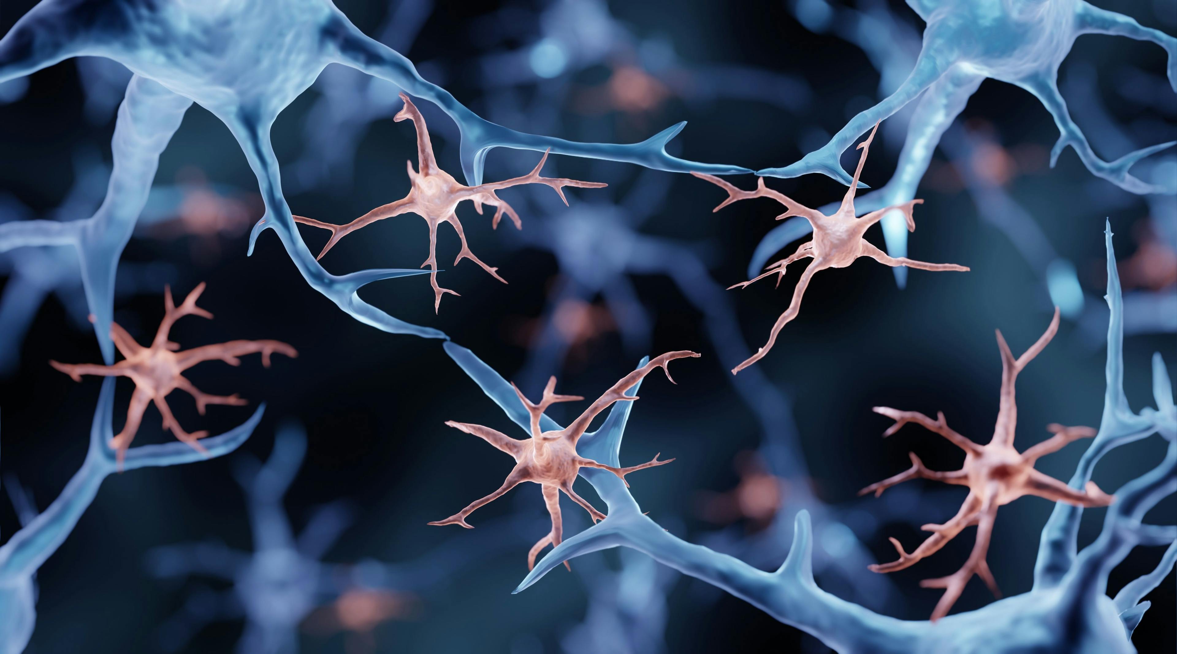 Microglia are immune cells in the brain | Image Credit: Artur - stock.adobe.com