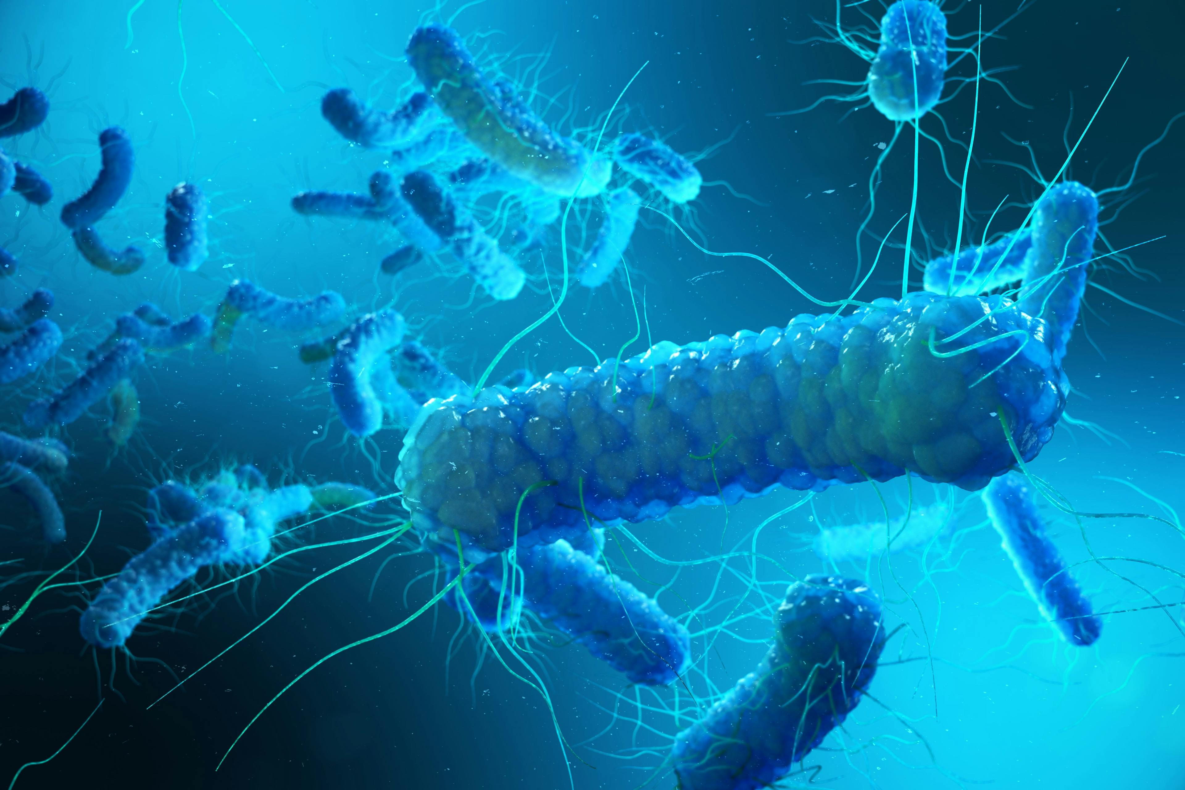 Toxin Driving Drug-Resistant Strains of C Diff Mapped, Identifying Starting Point for a Cure