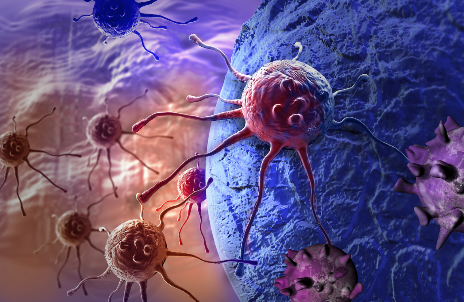 Novel Treatment Shows Promising Antitumor Activity Against HER2+ Cancers