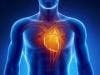 Psoriatic Arthritis Patients Face Greater Risk of Heart Issues