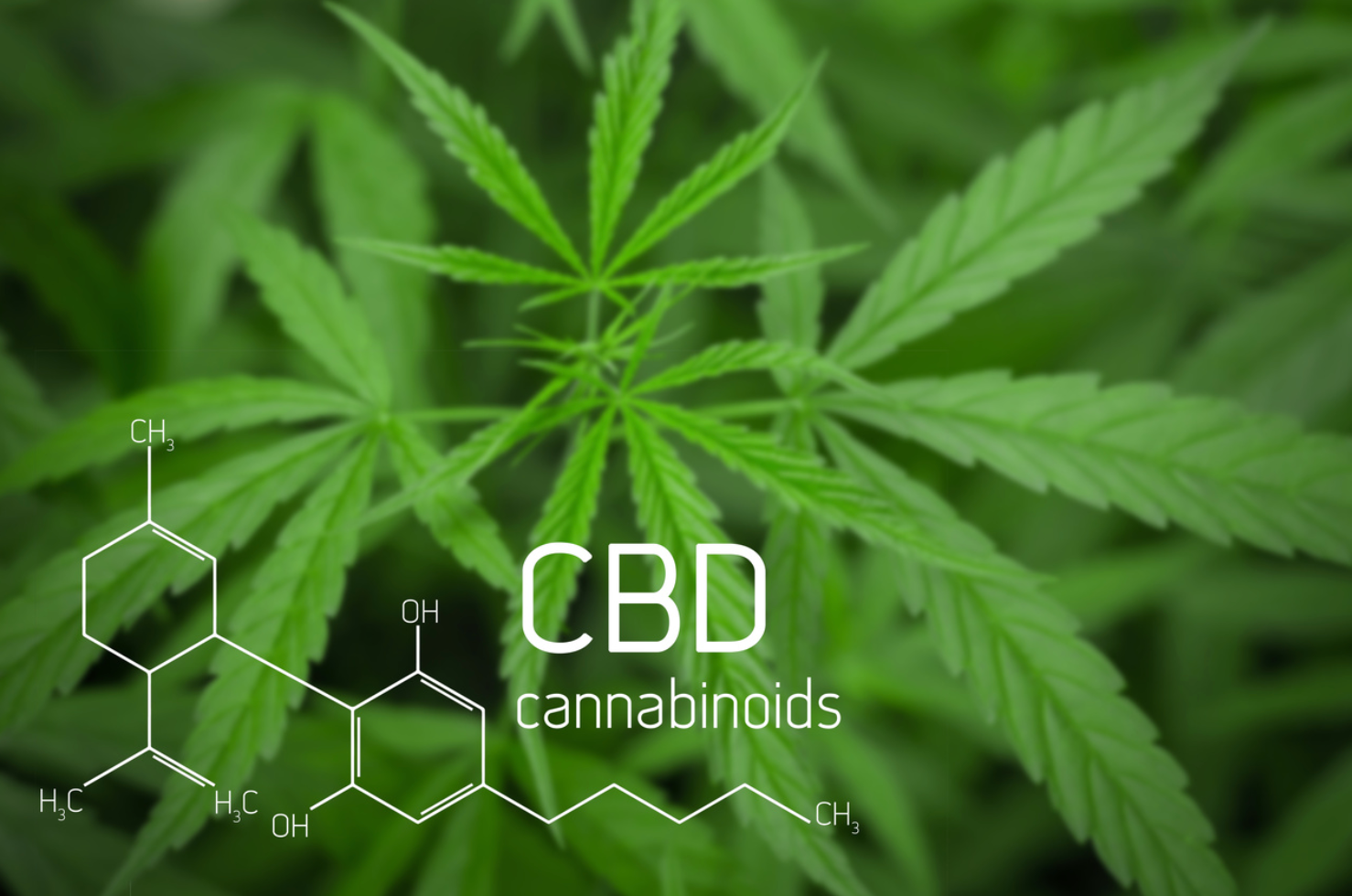 Inaccurate Labeling, Misleading Claims Found Among CBD Products
