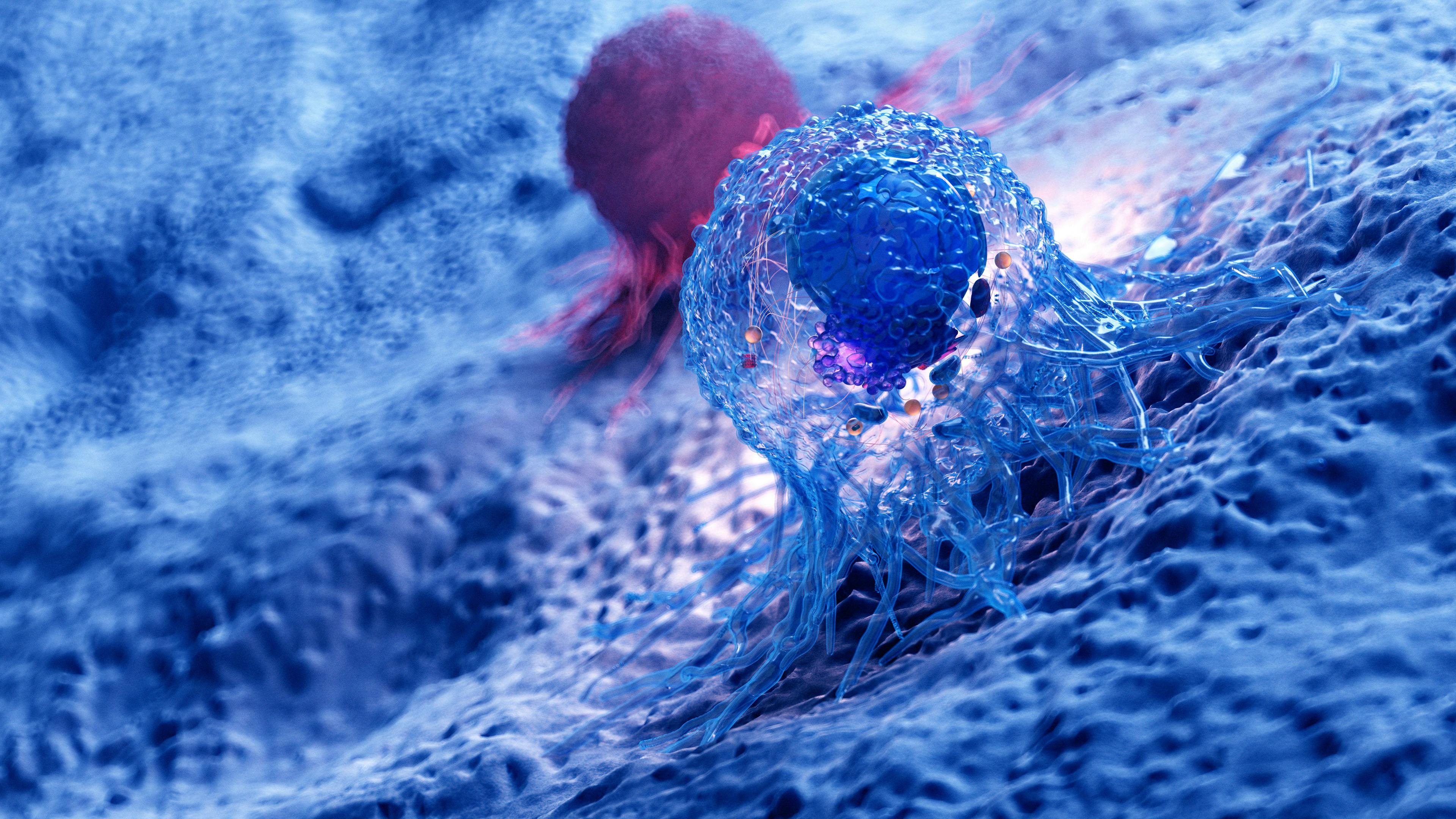 3d rendered illustration of the anatomy of a cancer cell - Image credit: SciePro | stock.adobe.com