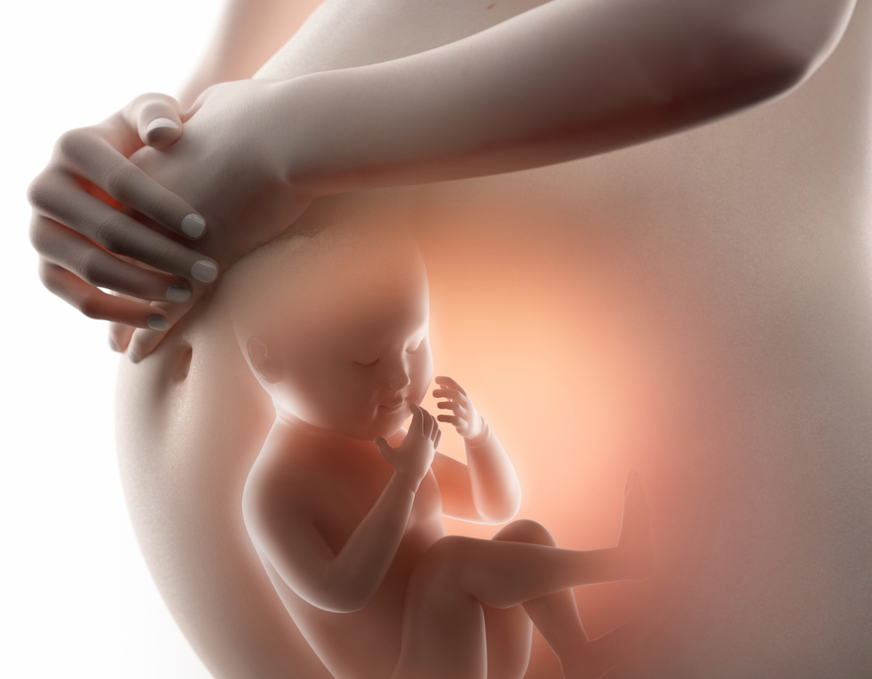 COVID-19 Vaccination Has No Impact on Placental Health, Suggesting Safety for Pregnant Women