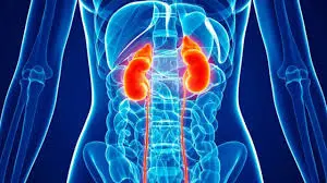 Phosphate Binder Treatment Benefits Individuals With Advanced Stages of Chronic Kidney Disease 