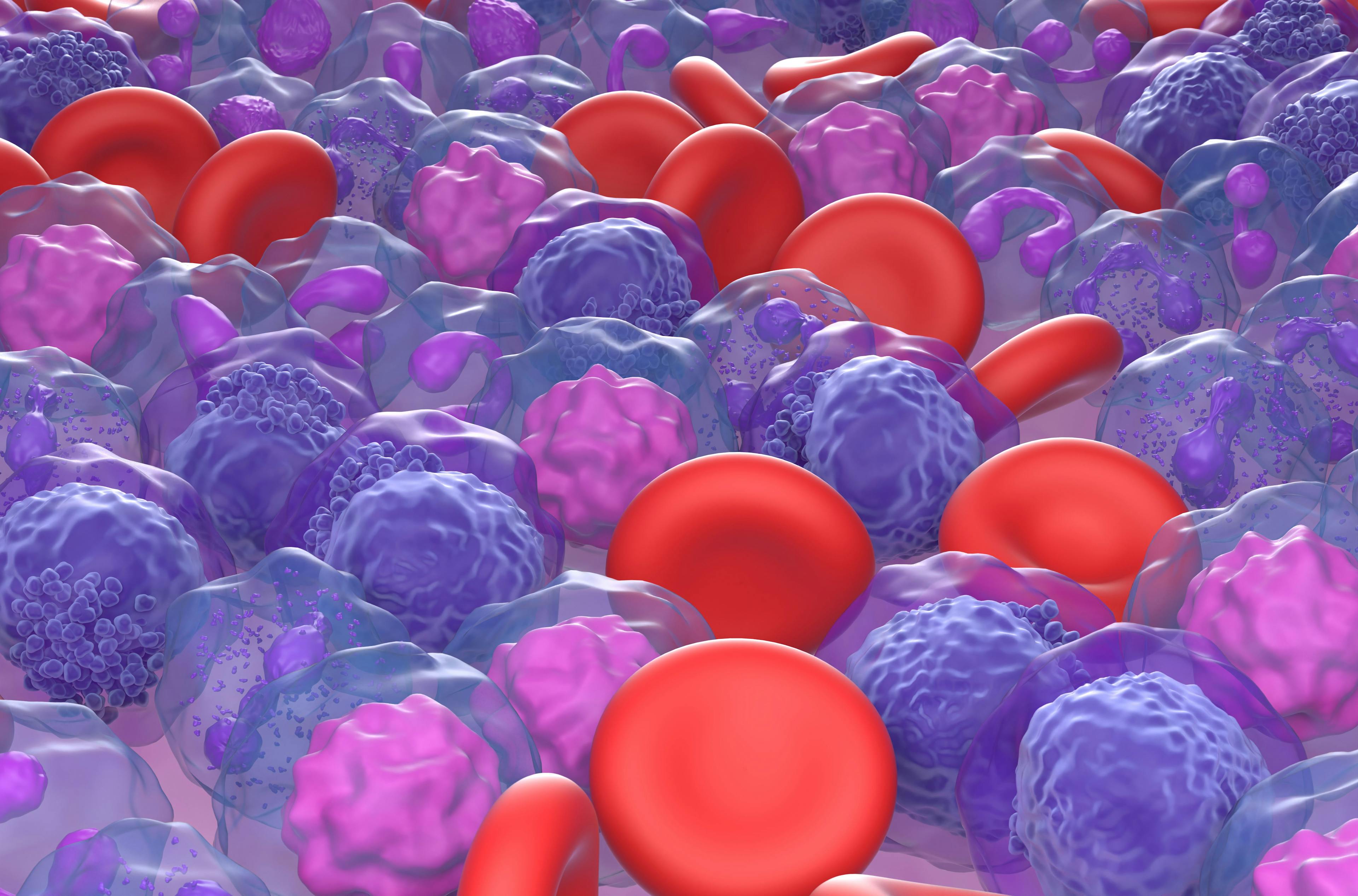 Acute myeloid leukemia cells closeup -- Image credit: LASZLO | stock.adobe.com