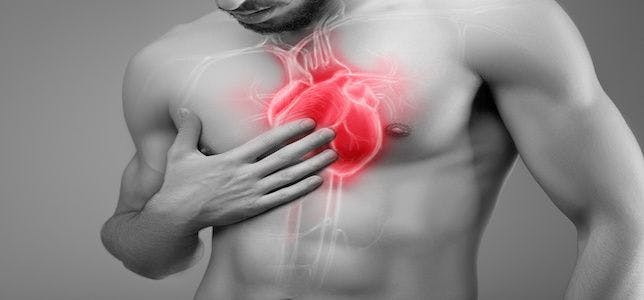 Study: Hyperactive Immune Cells Can Aggravate Heart Valve Disease