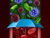 Immune System May Hold Key to Curing HIV