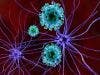New Drugs Fight Root Cause of Multiple Sclerosis