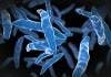 HIV Patients See Little Benefit from Tuberculosis Preventative Drugs