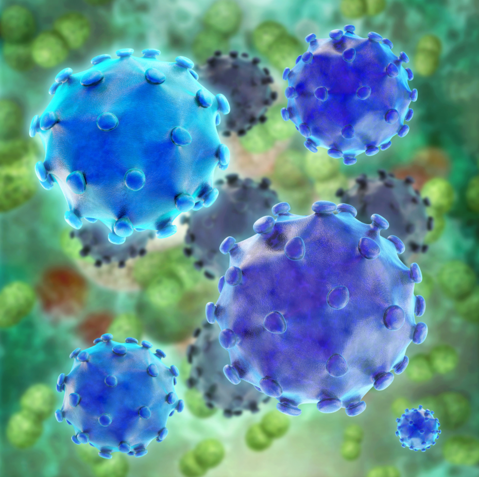 Pharmacy Quiz: Test Your Knowledge on Hepatitis
