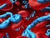 ZMapp Reverses Ebola Infection in Animal Testing