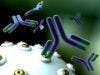 Broadly Neutralizing Antibody May Accelerate HIV Cure