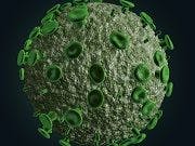 Infectious Disease Mortality Trends Shift in United States